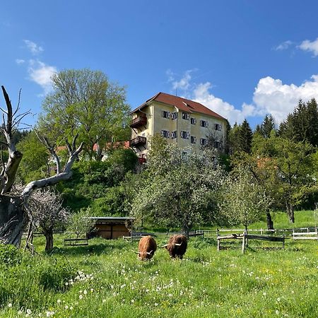 Hotel Landsitz Pichlschloss Neumarkt in Steiermark Εξωτερικό φωτογραφία