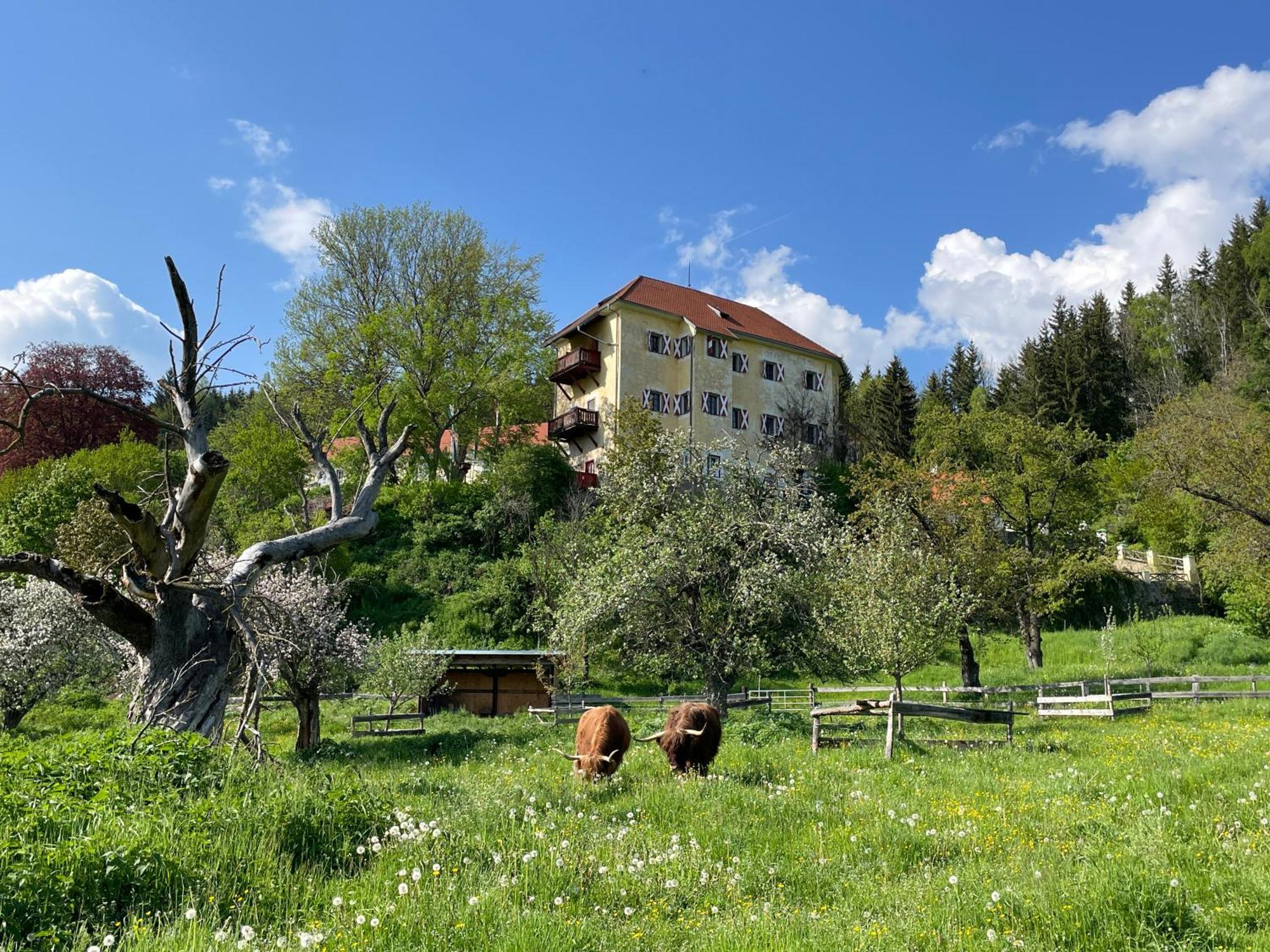 Hotel Landsitz Pichlschloss Neumarkt in Steiermark Εξωτερικό φωτογραφία